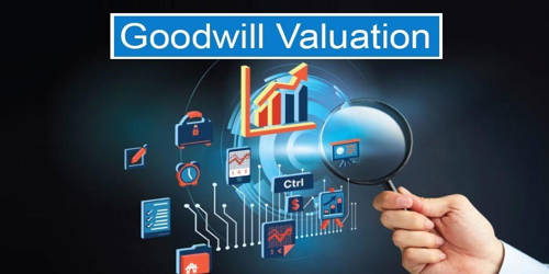 Necessities for the Valuation of Goodwill