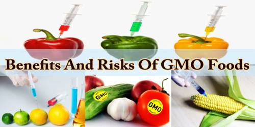 Benefits And Risks Of GMO Foods
