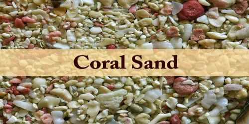 Coral Sand