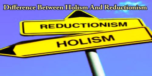 Difference Between Holism And Reductionism