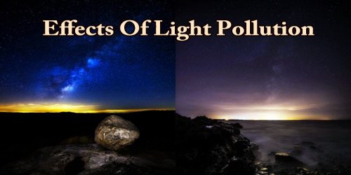 Effects Of Light Pollution