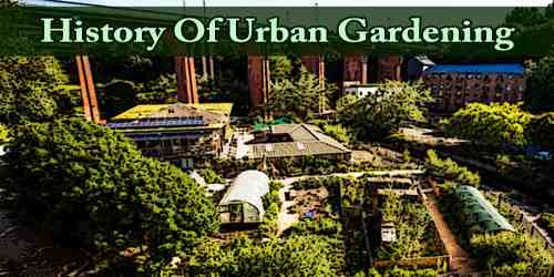 History Of Urban Gardening