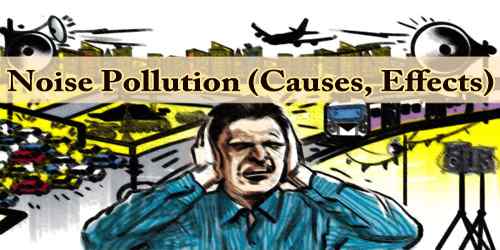 Noise Pollution (Causes, Effects)