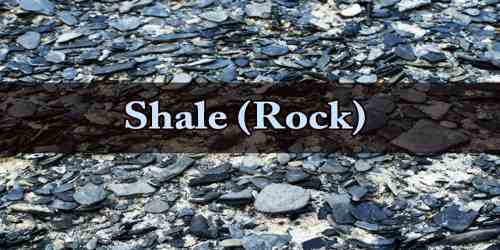 Shale (Rock)