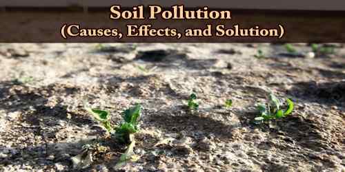 Soil Pollution (Causes, Effects, and Solution)