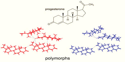 Polymorphism in Materials Science