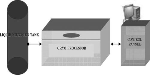 Cryogenic Processor
