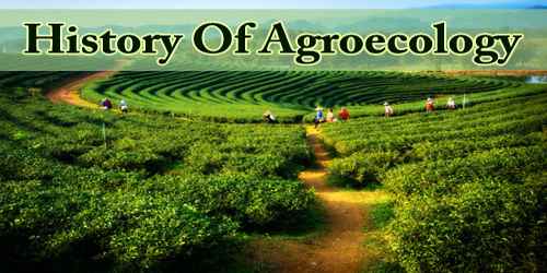 History Of Agroecology