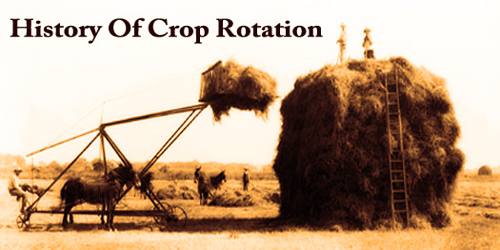 History Of Crop Rotation