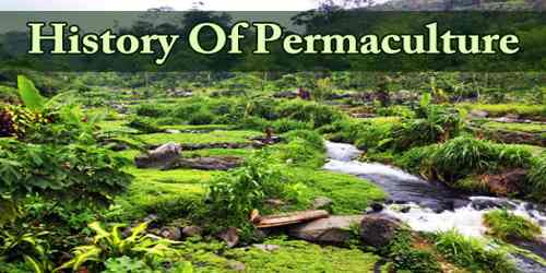 History Of Permaculture