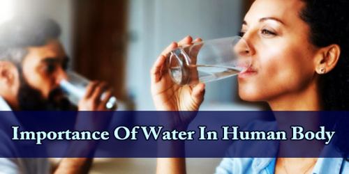 Importance Of Water In Human Body