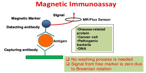 Magnetic Immunoassay (MIA)