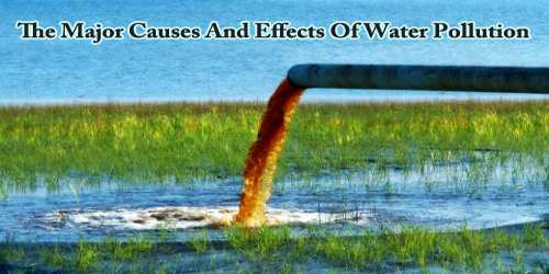 The Major Causes And Effects Of Water Pollution