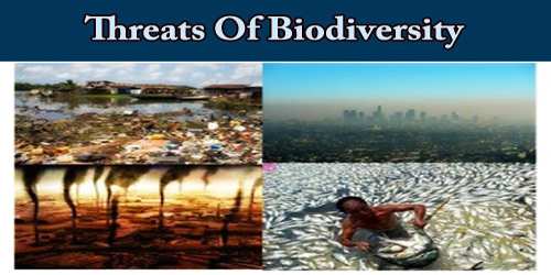 Threats Of Biodiversity