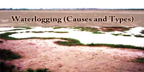 Waterlogging (Causes and Types)