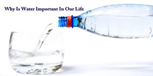 Why Is Water Important In Our Life