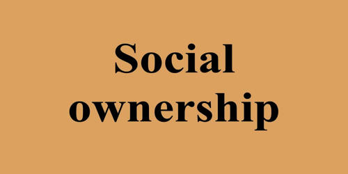 Social Ownership In Economics
