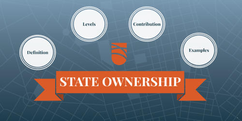 State Ownership in Economics