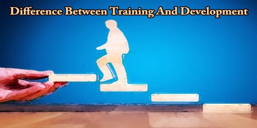 Difference Between Training And Development