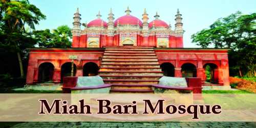 A Visit To A Historical Place/Building (Miah Bari Mosque)