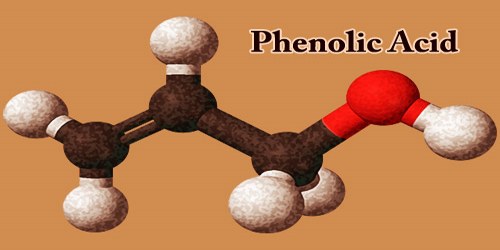 Phenolic Acid