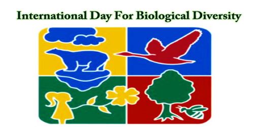International Day For Biological Diversity