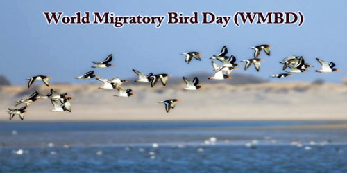 World Migratory Bird Day (WMBD)