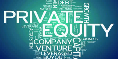 Private Equity (PE)