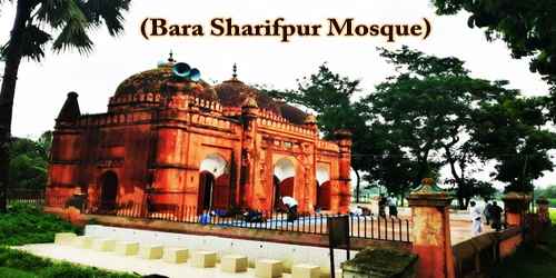 A Visit To A Historical Place/Building (Bara Sharifpur Mosque)