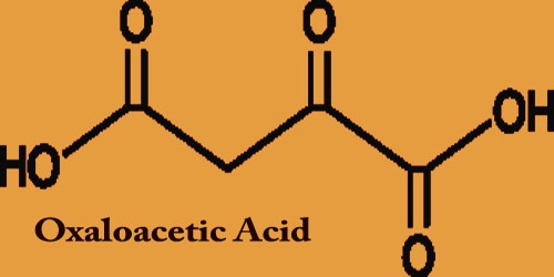 Oxaloacetic Acid