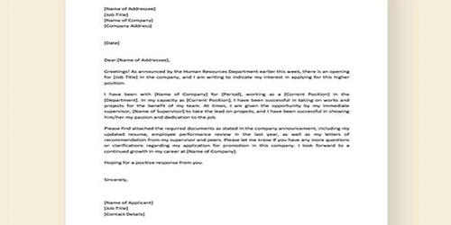 Request Letter For Promotion Assignment Point