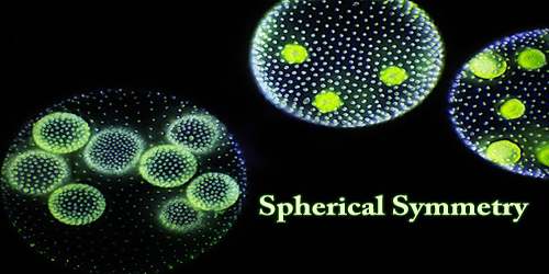 Spherical Symmetry
