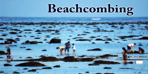 Beachcombing