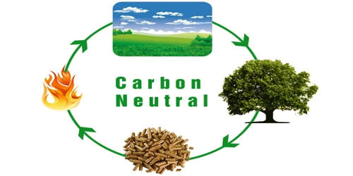 Carbon-neutral Fuel