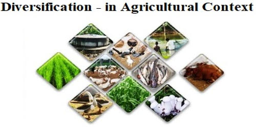 Diversification – in Agricultural Context