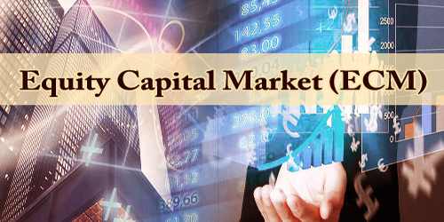 Equity Capital Market (ECM)
