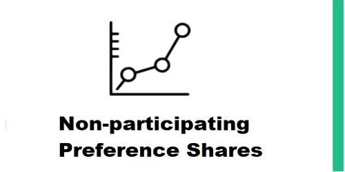 Non-participating Preference Shares