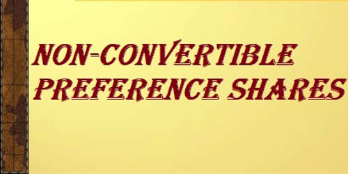 Non-convertible Preference Shares