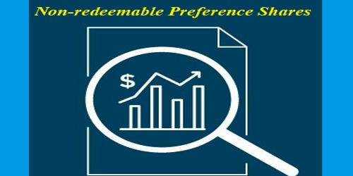 Non-Redeemable Preference Shares