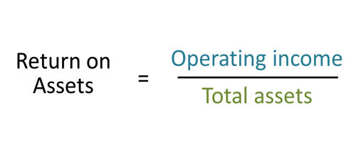 Return On Assets Assignment Point 8946