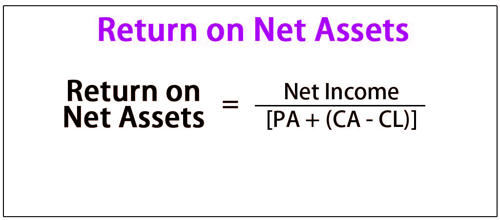 Return On Net Assets Assignment Point 5847