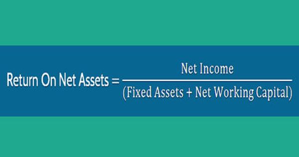 Return on Net Assets