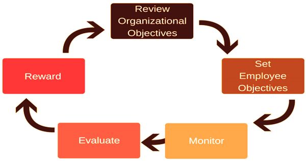 assignment on management by objectives