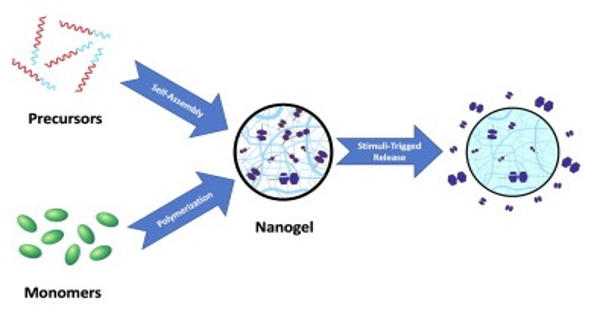Nanogel