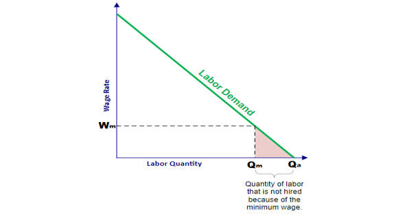 Wage Differential