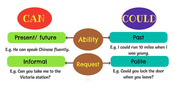 Difference Between Can And Could Assignment Point