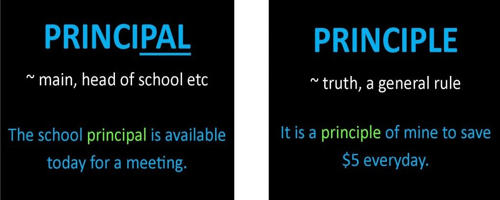 principal vs principle examples