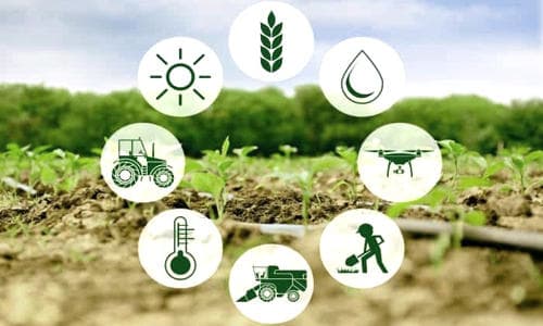 research on e agriculture