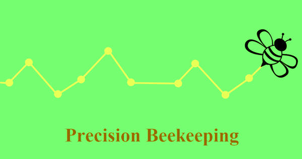 Precision Beekeeping