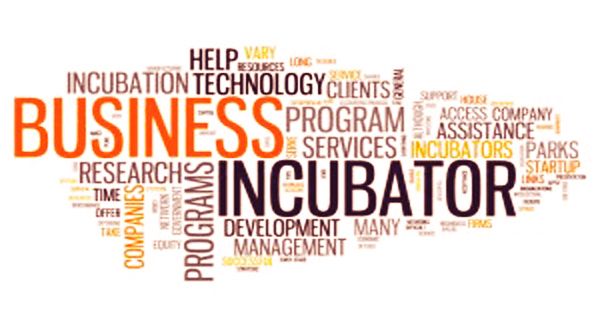 incubator synonym business